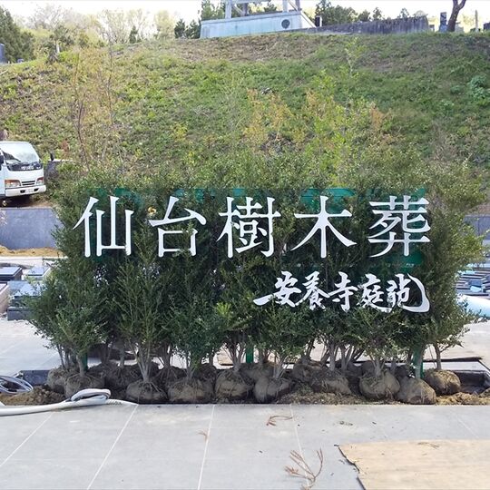 仙台樹木葬